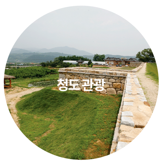 청도관광